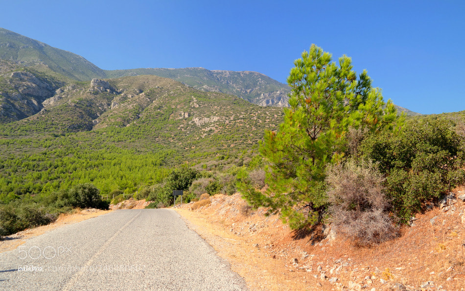 Samsung NX30 sample photo. Summer road photography