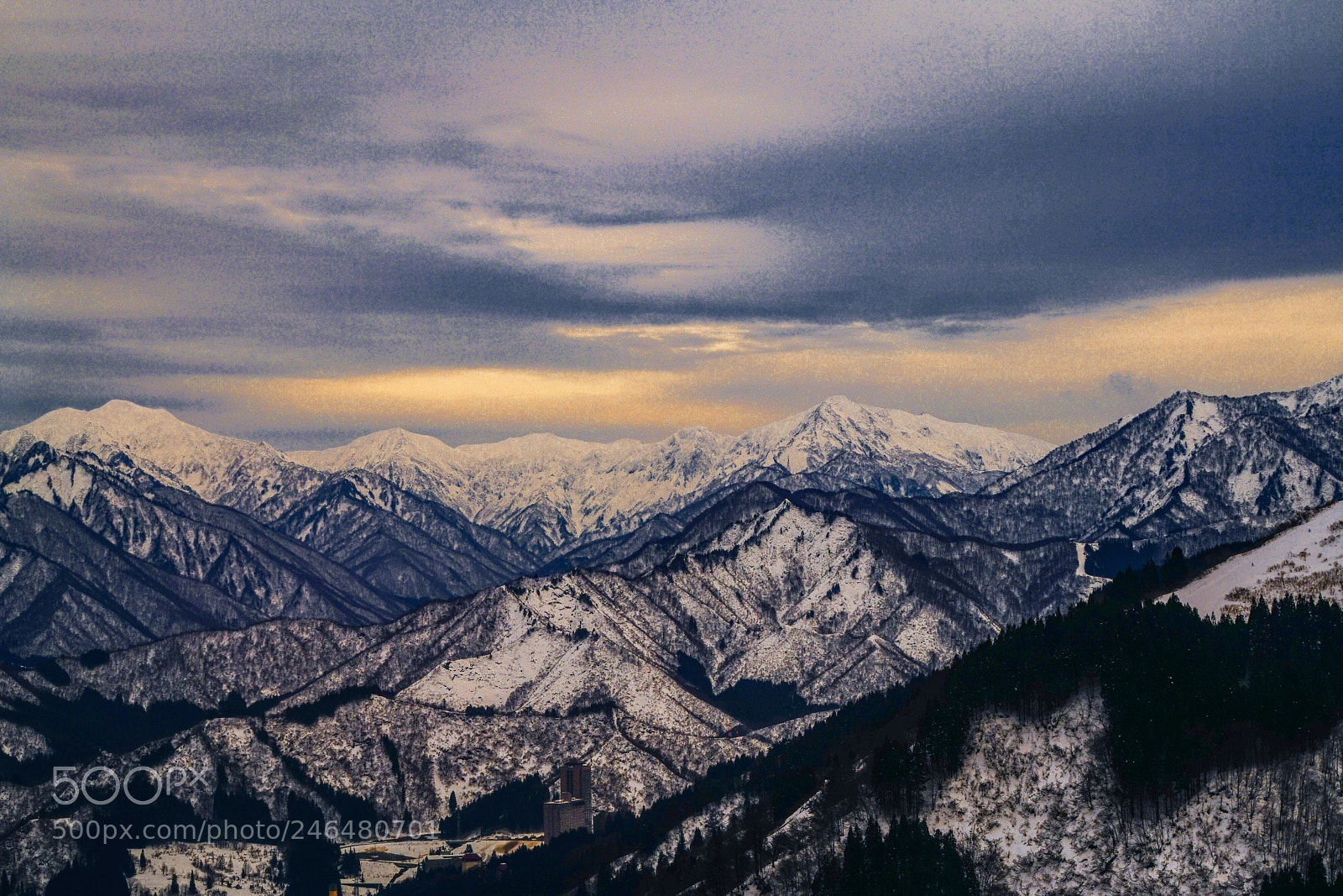 Sony a7R II sample photo. Sony a7rii 70-200 f photography