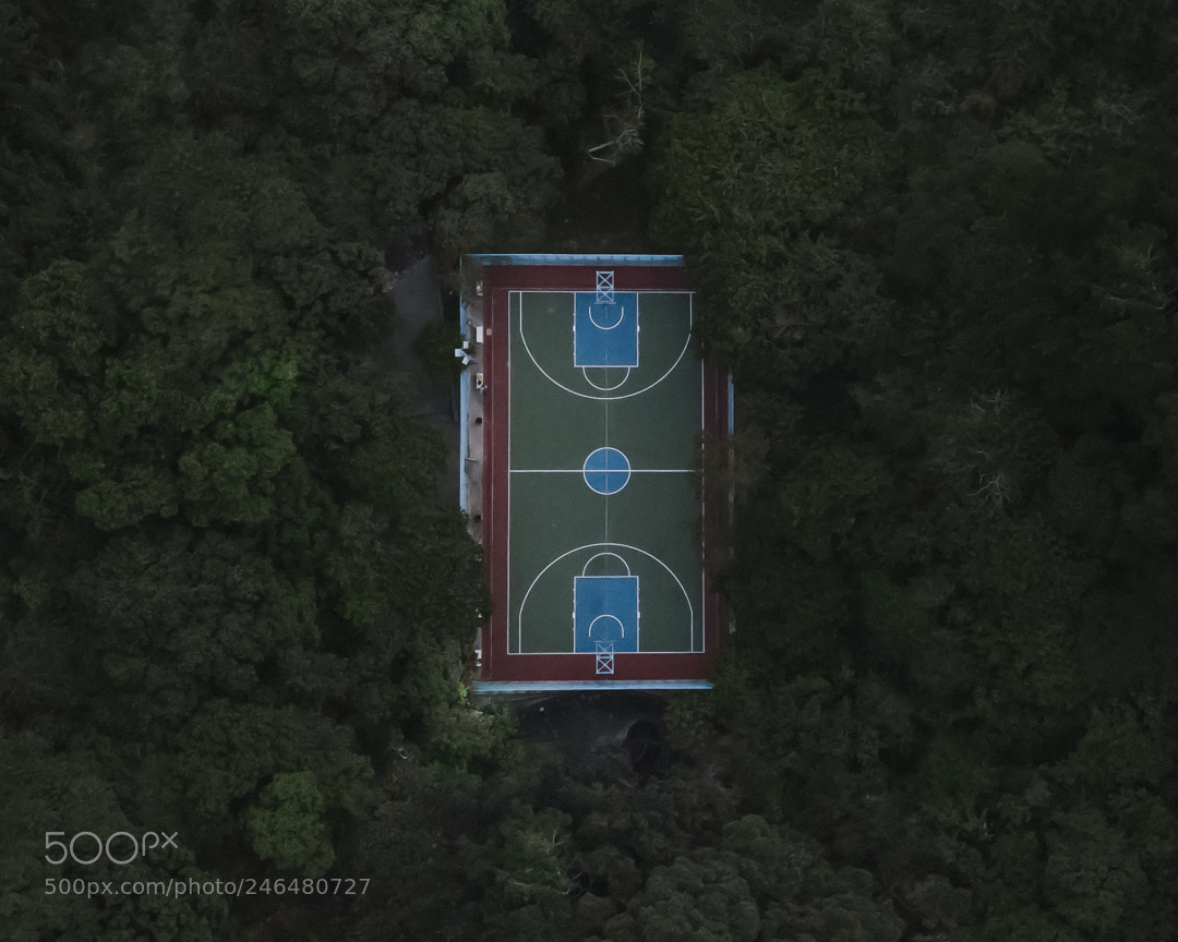 DJI FC220 sample photo. ⛹️ photography