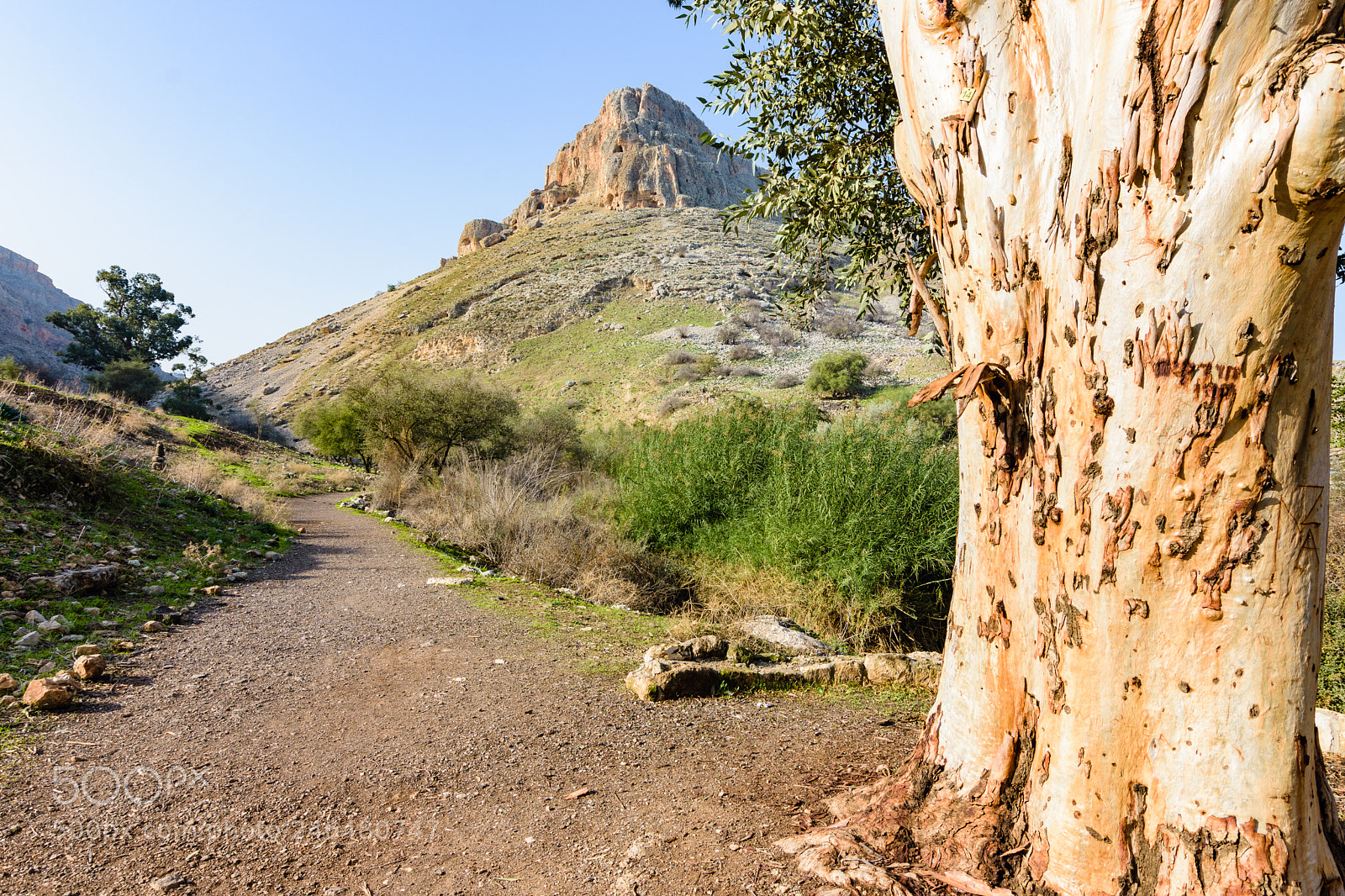 Nikon D7200 sample photo. Arbel mount photography