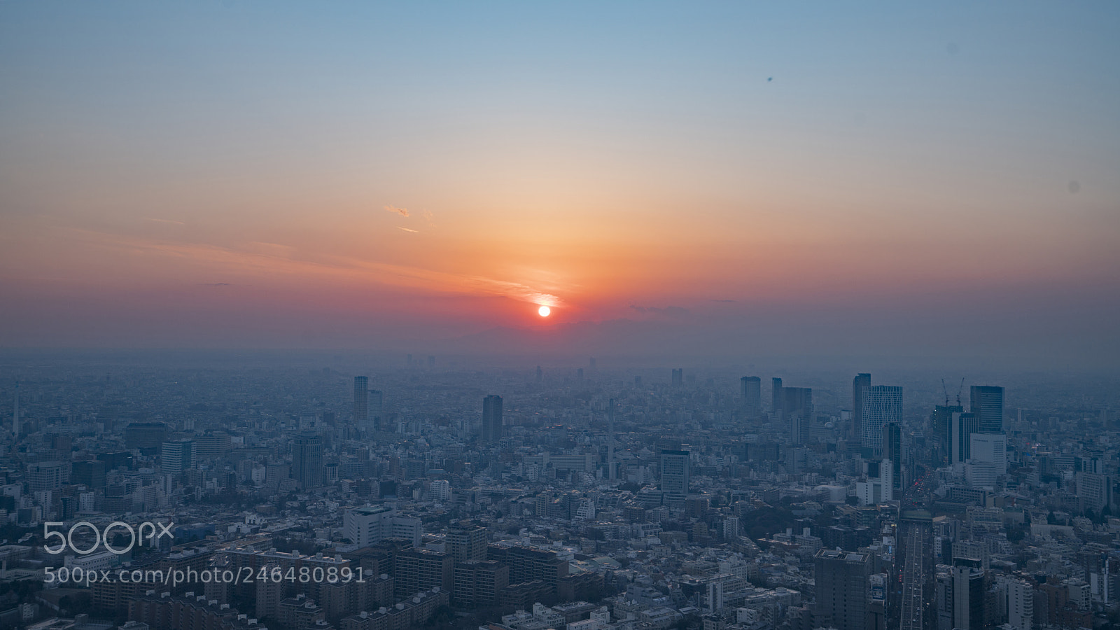 Sony a7R II sample photo. 晚霞，东京晚霞，tokyo photography