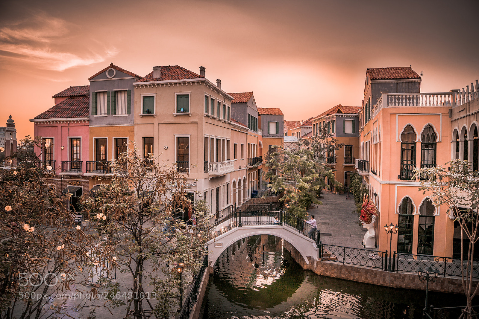 Sony a7R II sample photo. Venice di iris photography