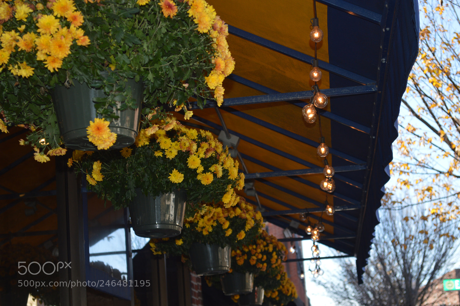 Nikon D3200 sample photo. Fall in the hood. photography