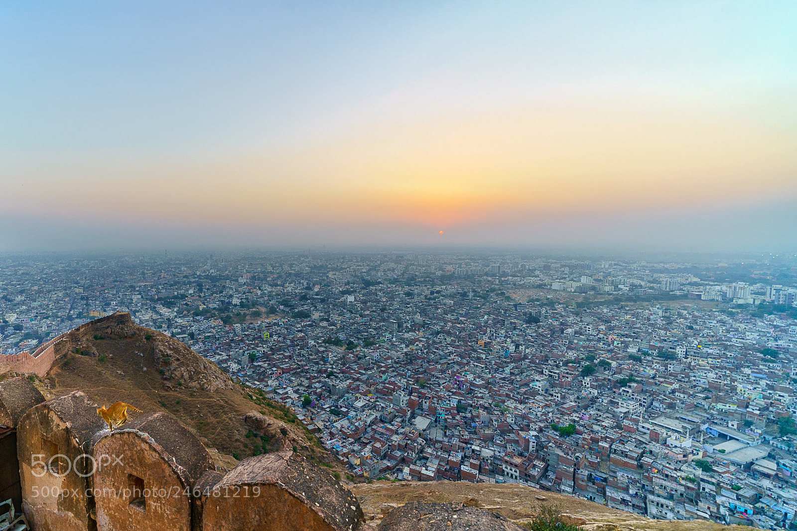 Sony a7R III sample photo. Jaipur photography