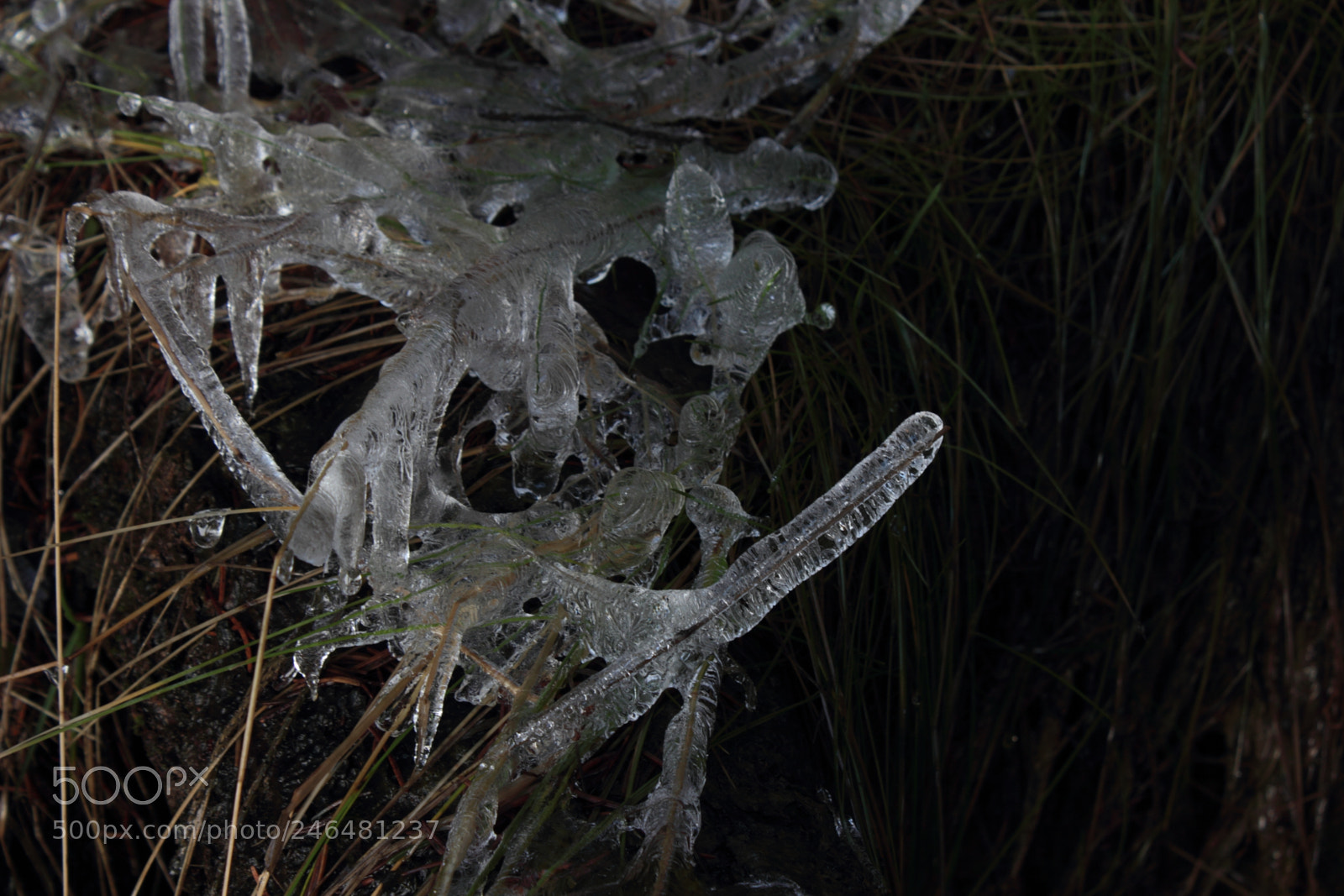 Canon EOS 600D (Rebel EOS T3i / EOS Kiss X5) sample photo. Dark ice photography