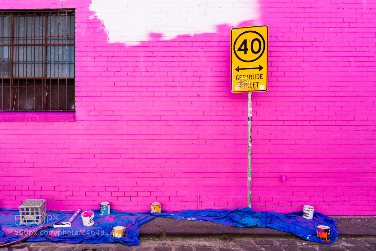 Nikon D610 sample photo. Pink photography