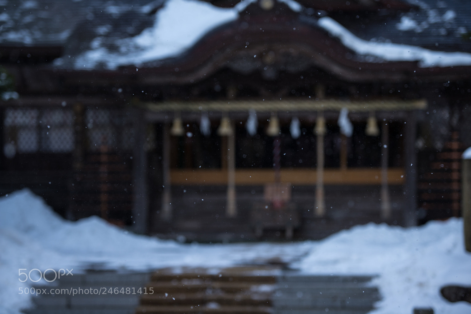 Nikon D600 sample photo. Tsurugi shrine photography