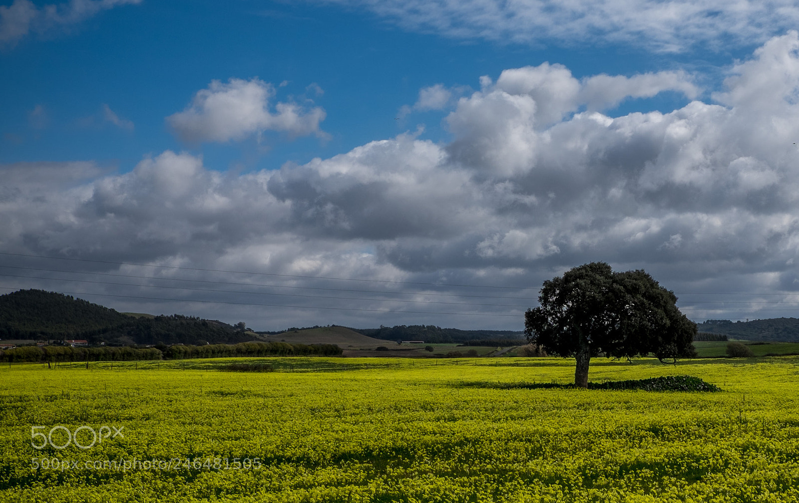 Fujifilm X-T1 sample photo. Alentejo coastal photography