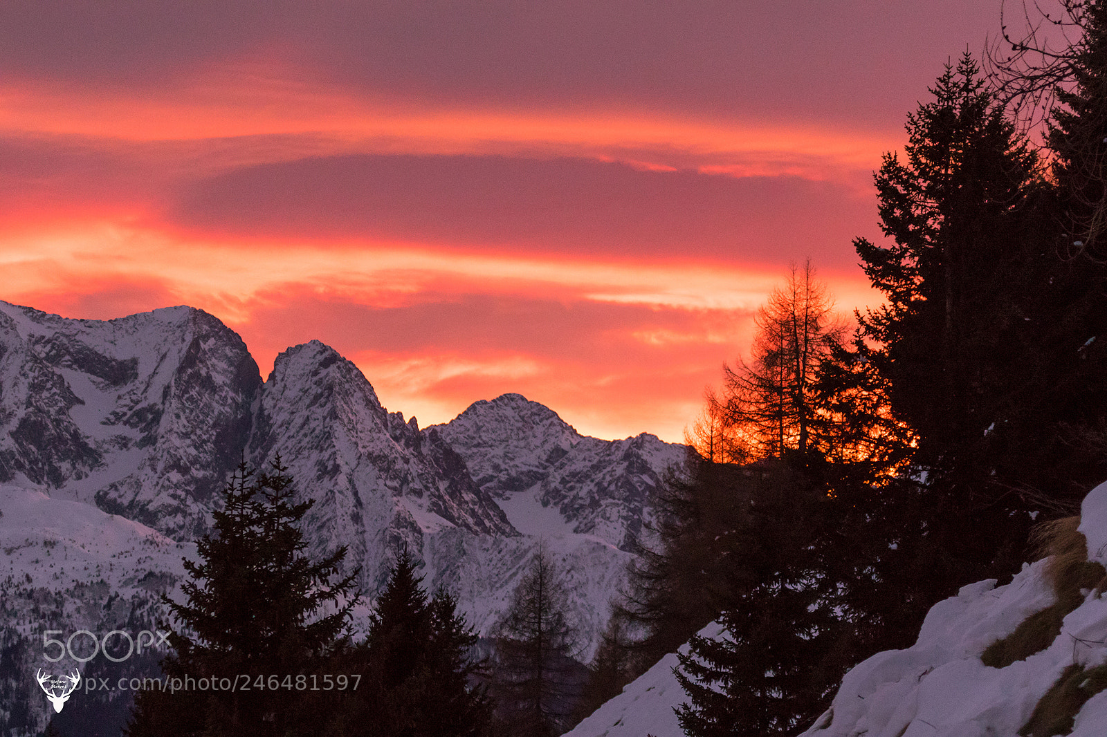 Canon EOS 7D Mark II sample photo. Winter sunset photography