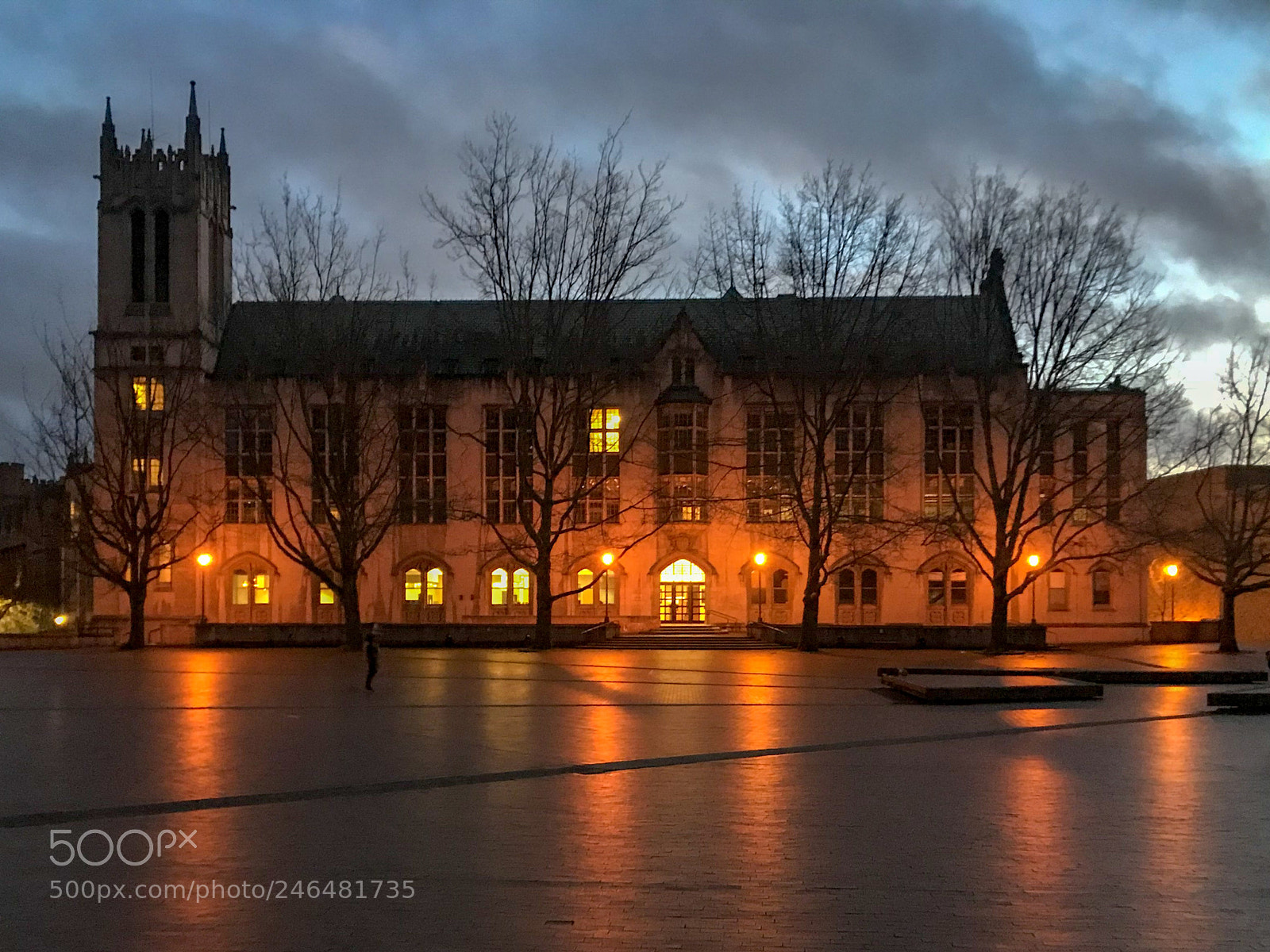 Apple iPhone 7 Plus sample photo. University of washington. it photography