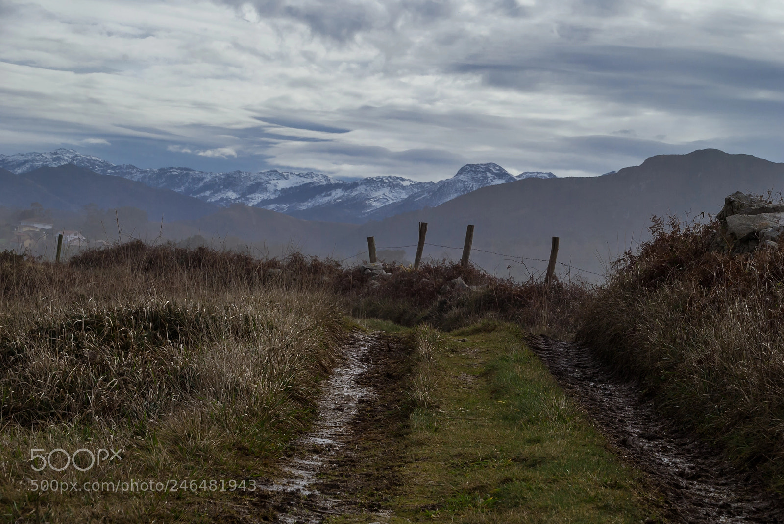 Nikon D3000 sample photo. Haciendo camino photography