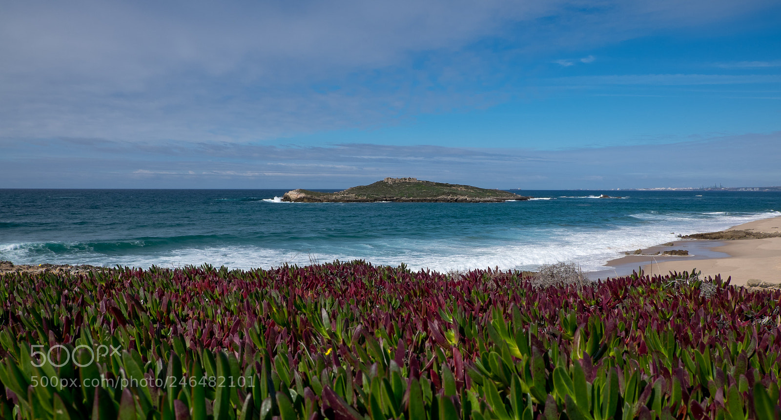 Fujifilm X-T1 sample photo. Ilha do pessegueiro photography