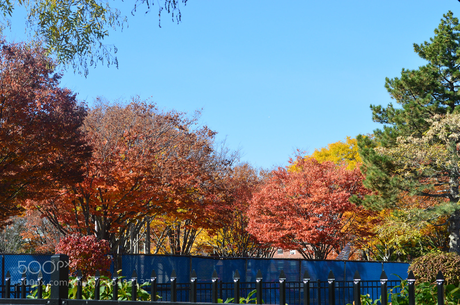 Nikon D3200 sample photo. Fall in the hood. photography
