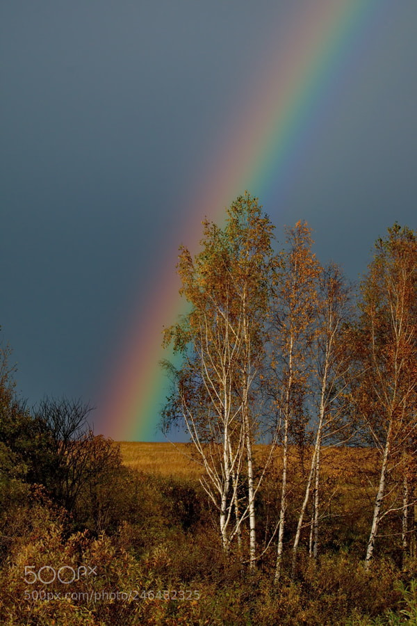 Fujifilm X-T1 sample photo. Russia. autumn rainbow of photography