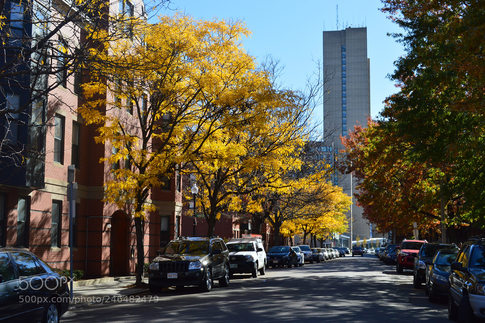 Nikon D3200 sample photo. Fall in the hood. photography