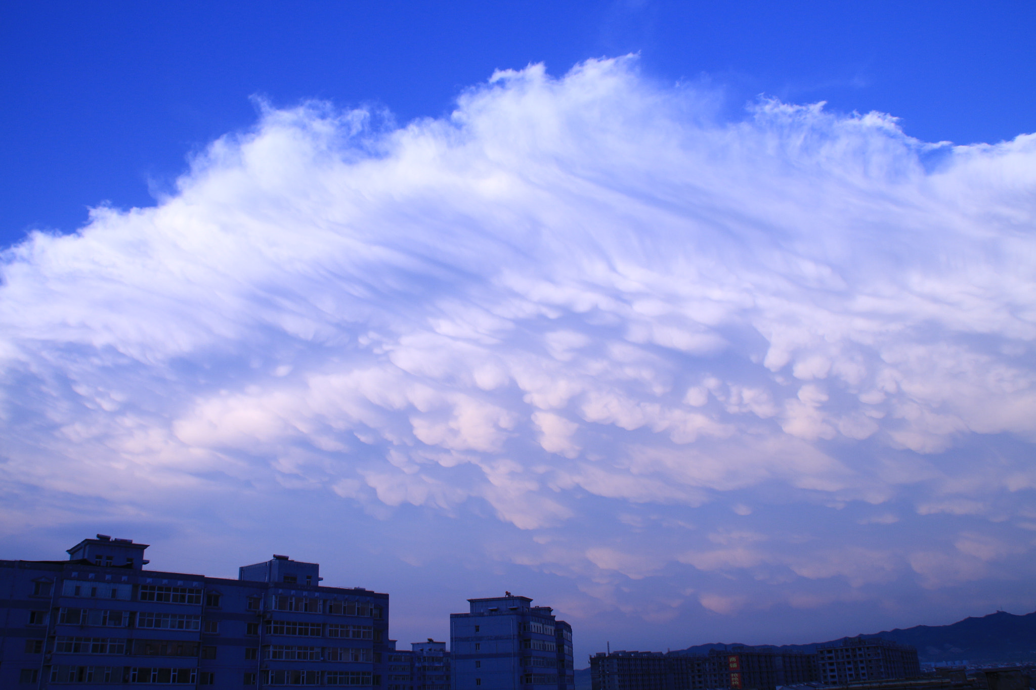 Canon EOS 700D (EOS Rebel T5i / EOS Kiss X7i) sample photo