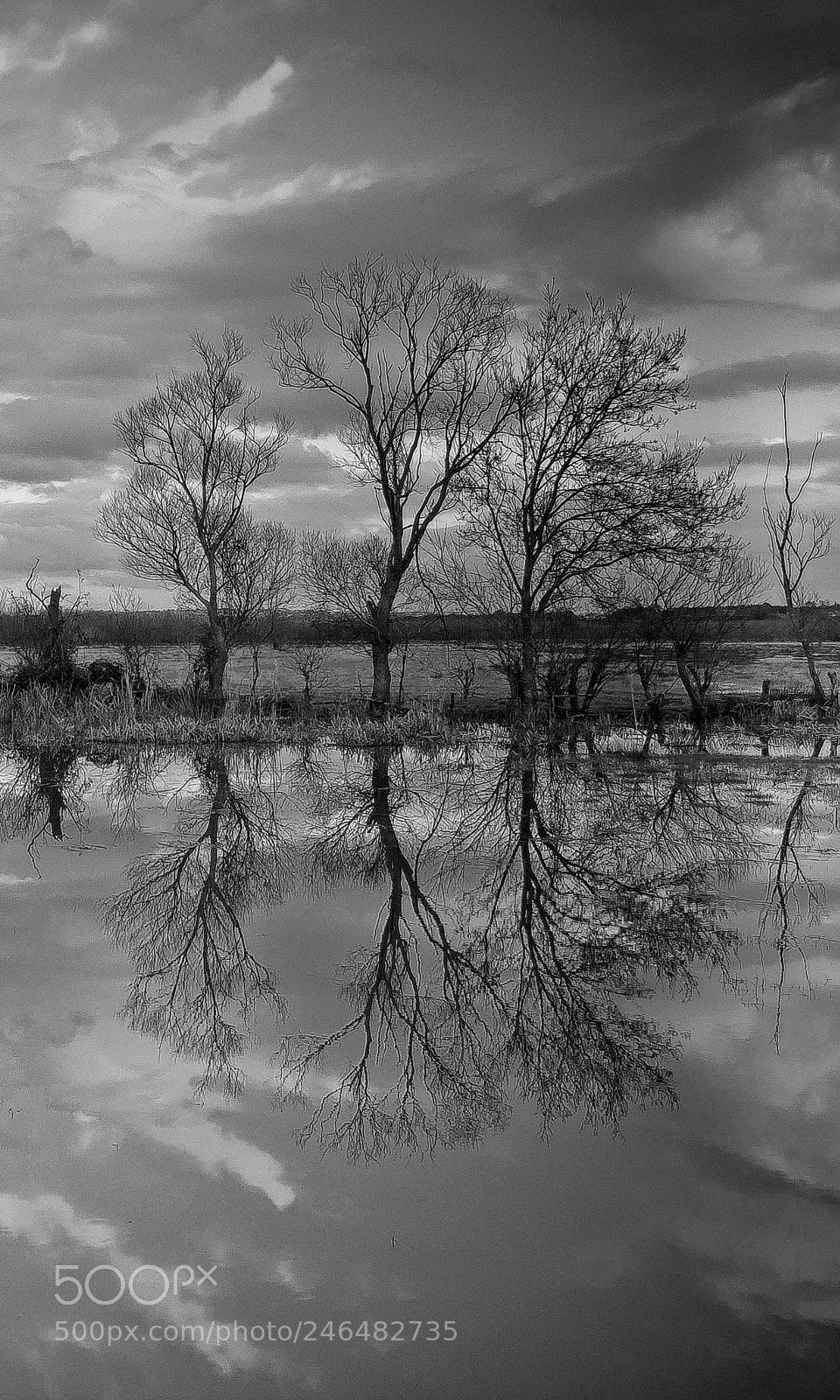 Nikon D5100 sample photo. Reflection b&w photography