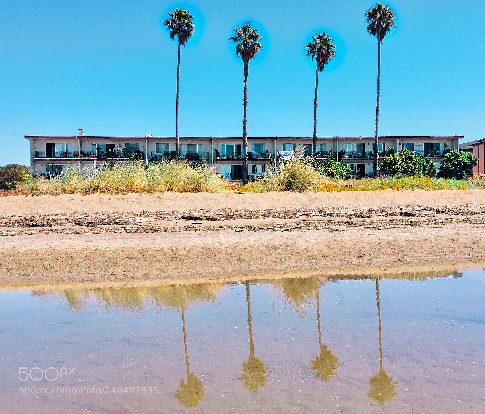 Apple iPhone 6 sample photo. Beachfront, alameda, california photography