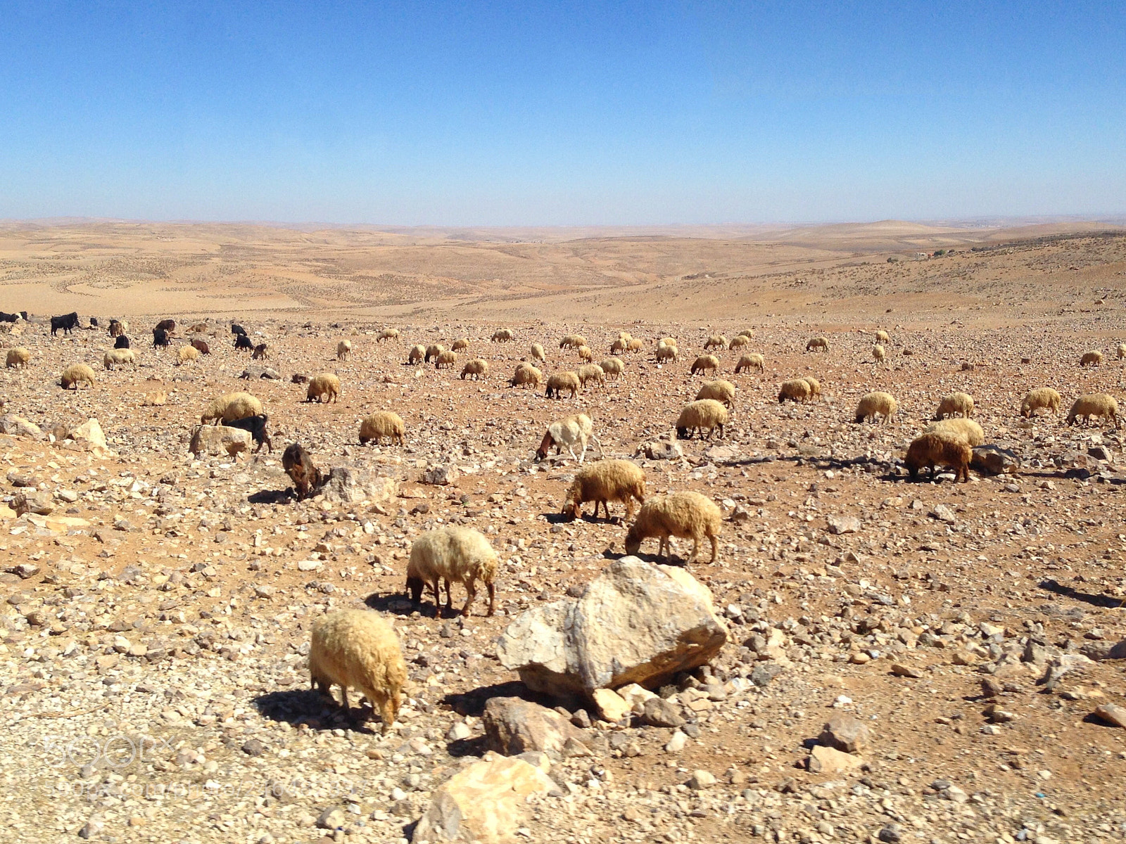 Apple iPhone 5 sample photo. Somewhere in jordan photography