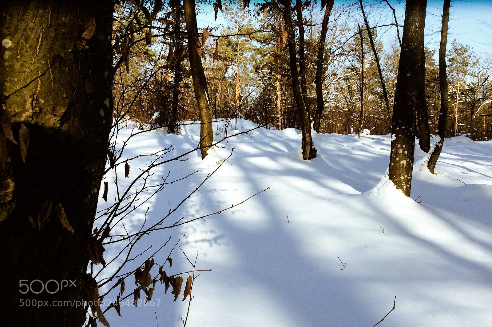Apple iPad Air sample photo. Snow and shadows. photography