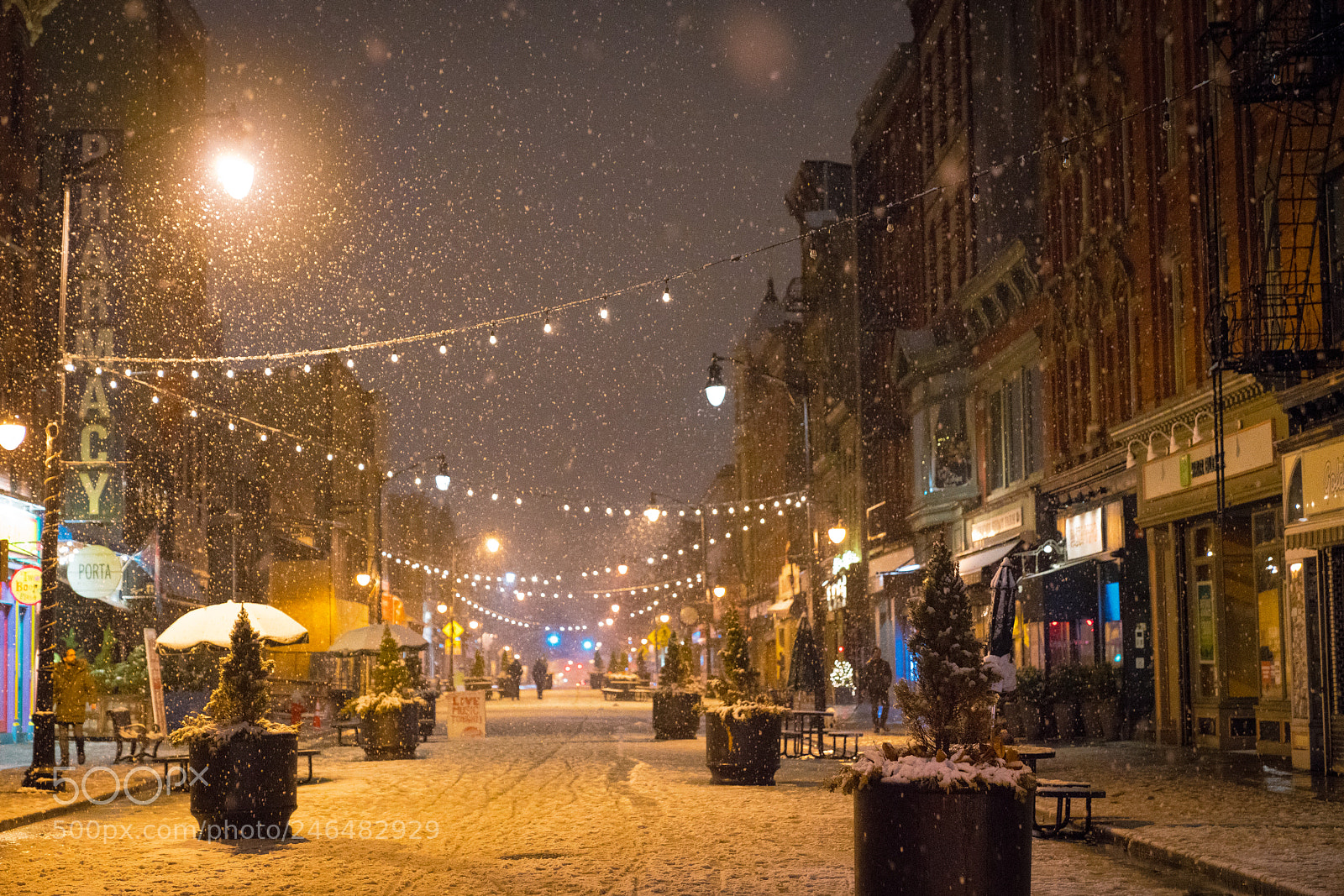Sony a7R III sample photo. Lights in the snow photography