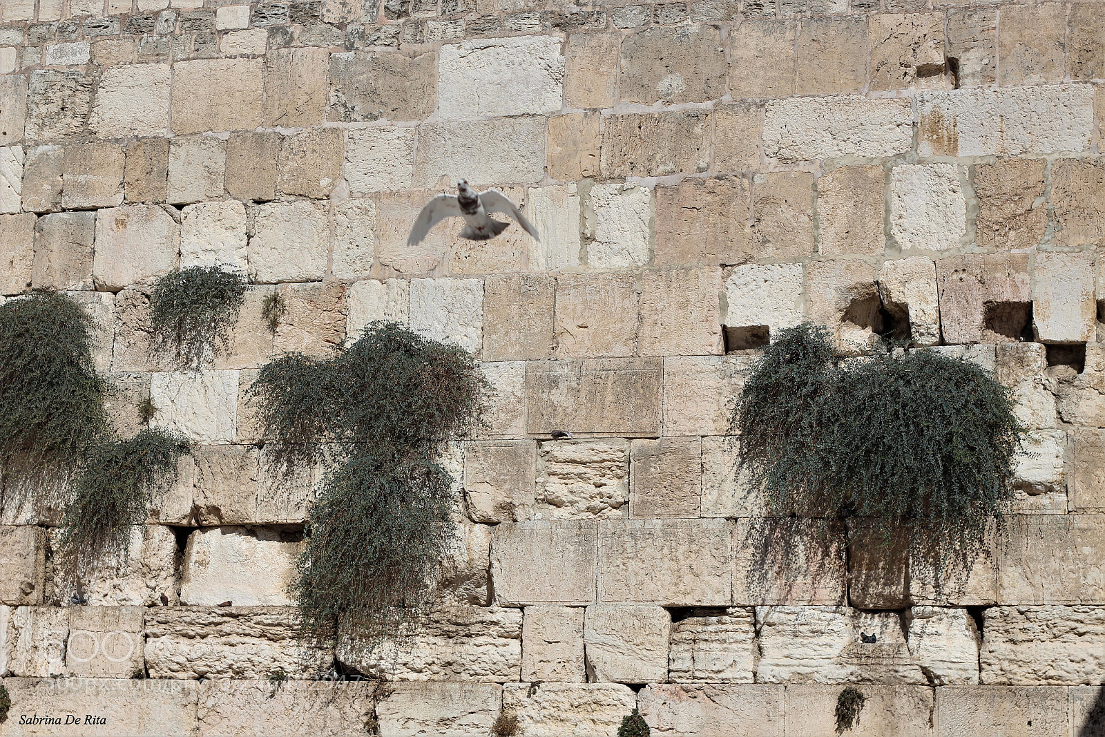 Canon EOS 700D (EOS Rebel T5i / EOS Kiss X7i) sample photo. Western wall photography