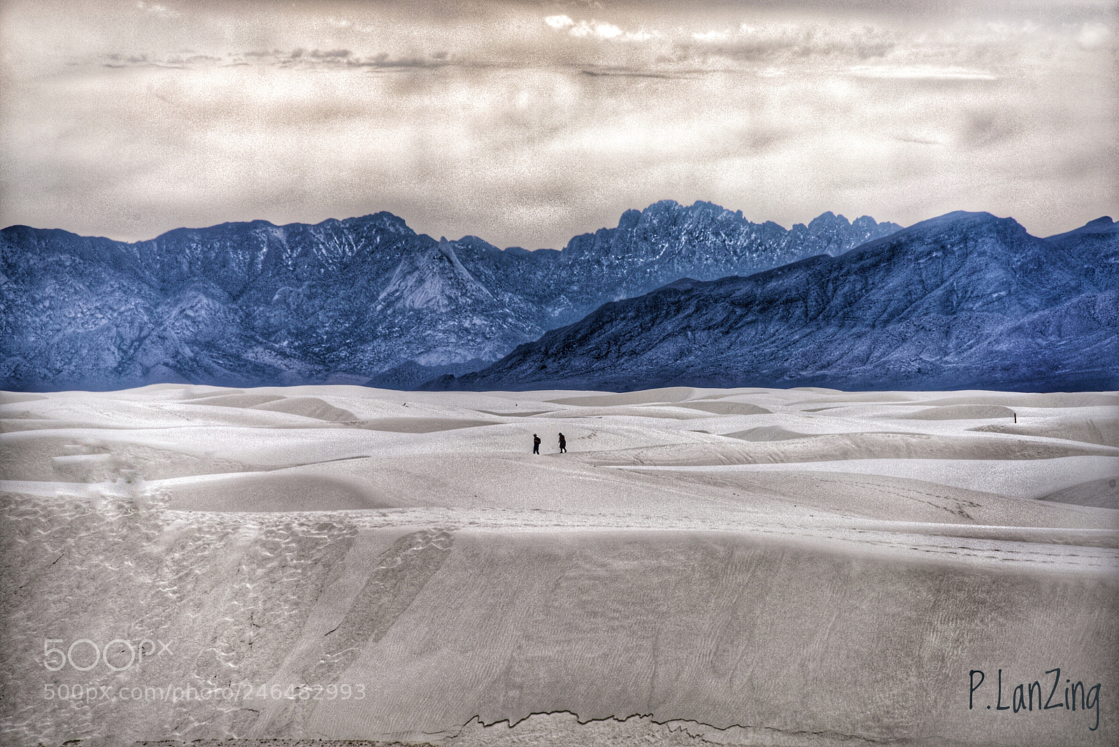 Nikon D810 sample photo. White sands photography