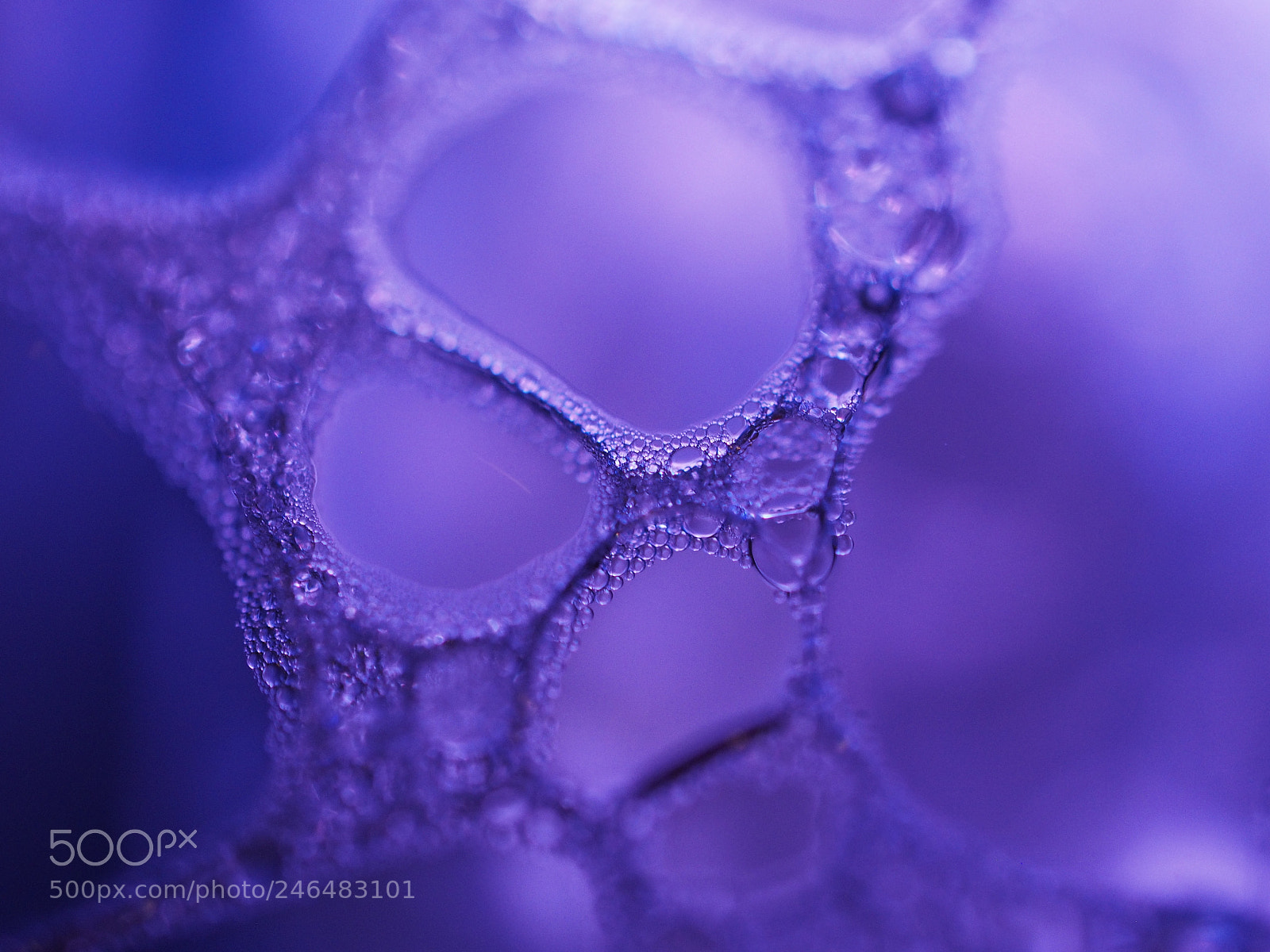 Olympus OM-D E-M1 sample photo. Liquid lace photography