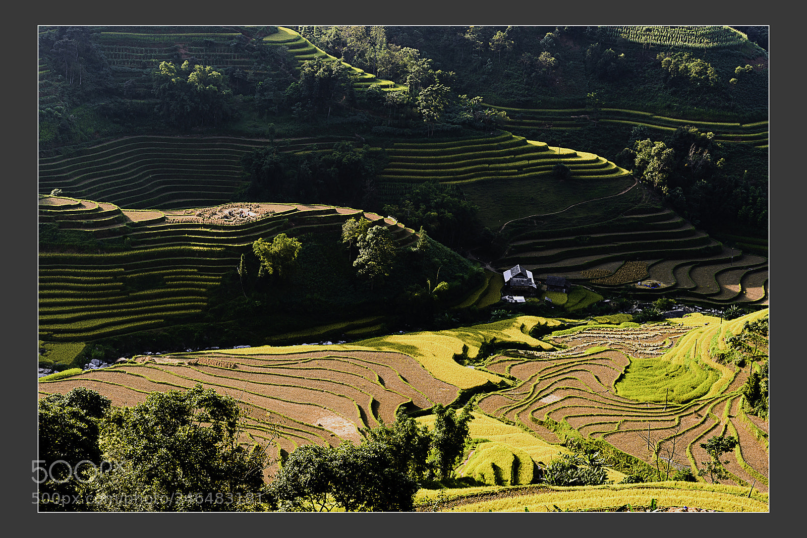 Nikon D5 sample photo. Shadows of late afternoon photography