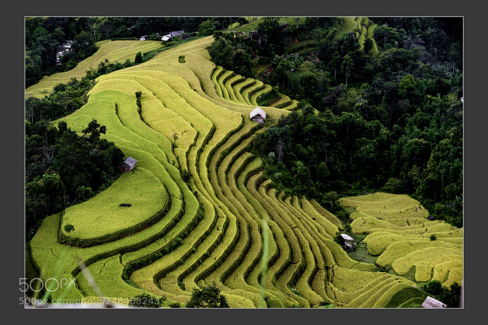 Nikon D3 sample photo. Vietnam maps created by photography