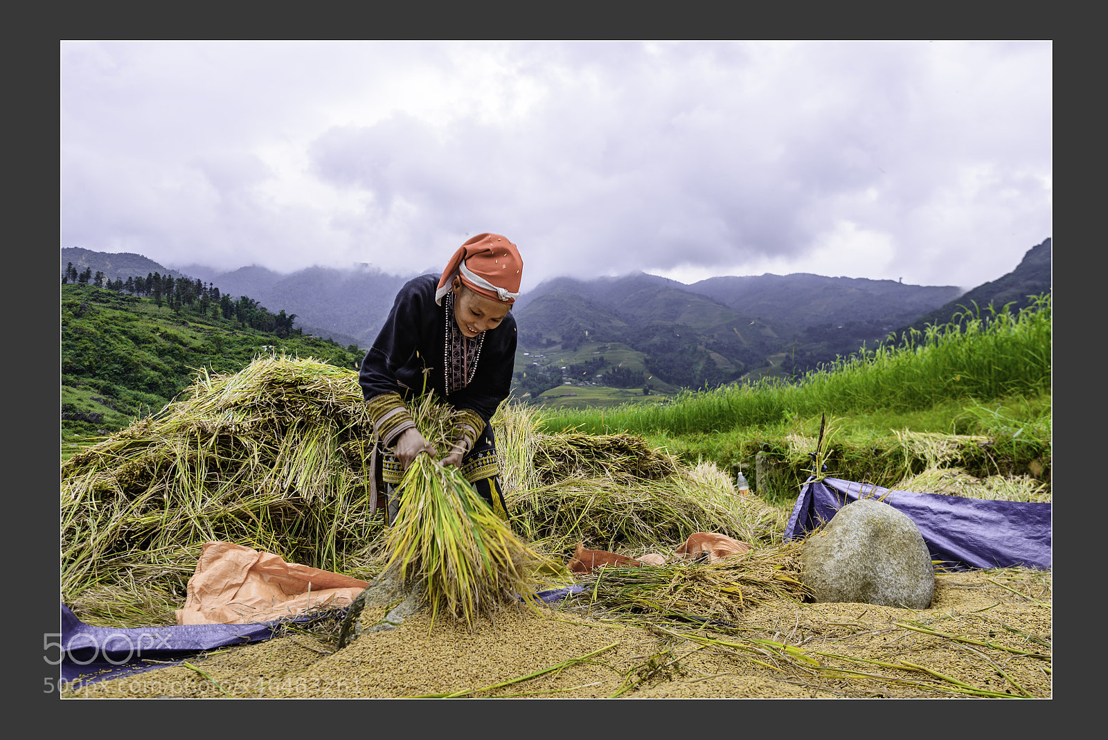 Nikon D610 sample photo. Minority lady making the photography