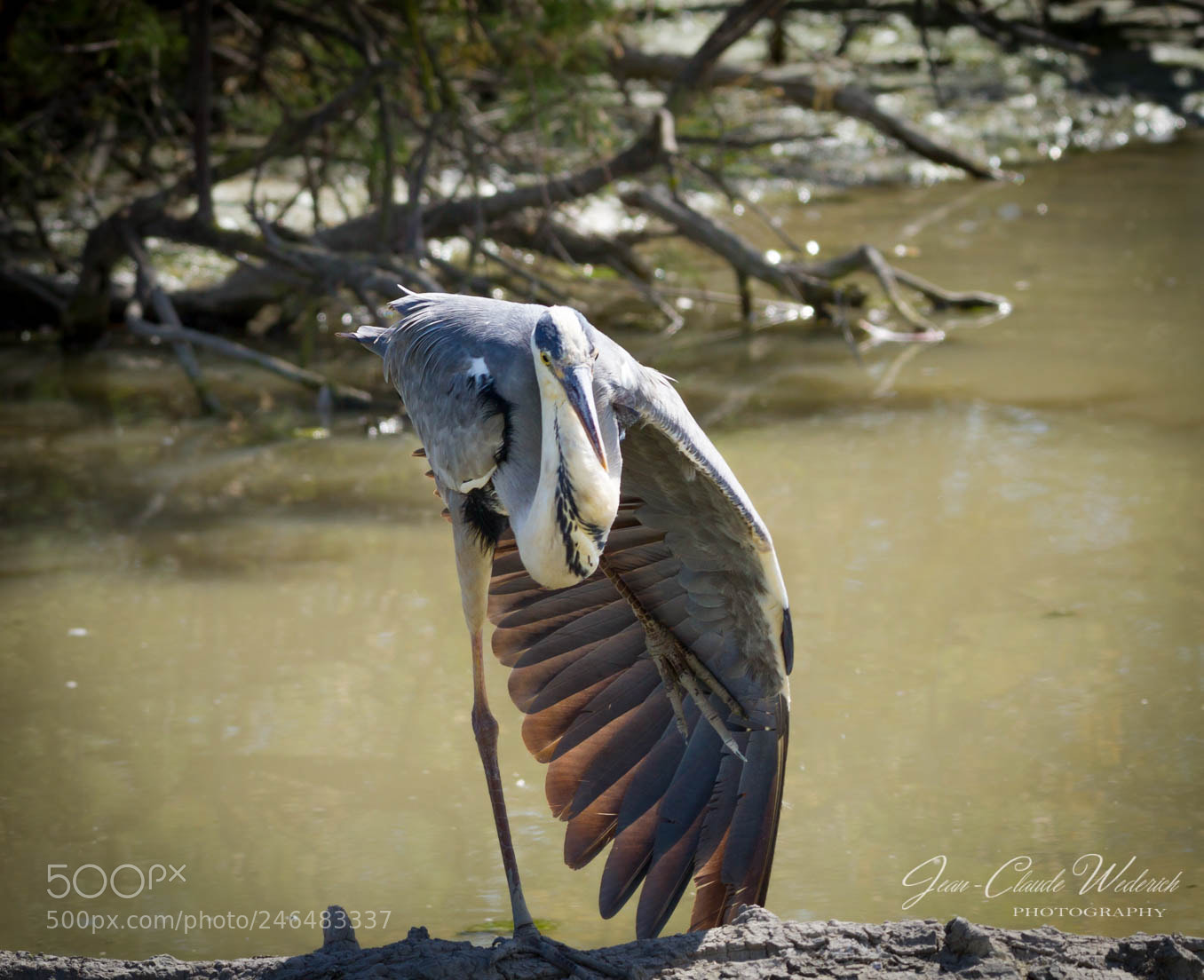 Canon EOS 7D sample photo. Relaxation photography