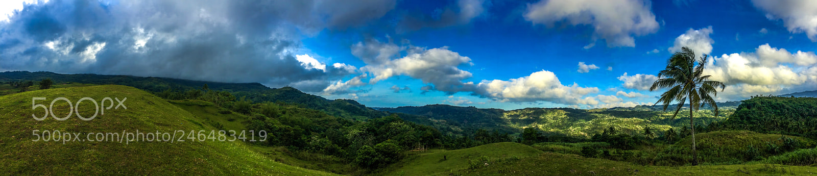 Apple iPhone 6 sample photo. Pano5 photography