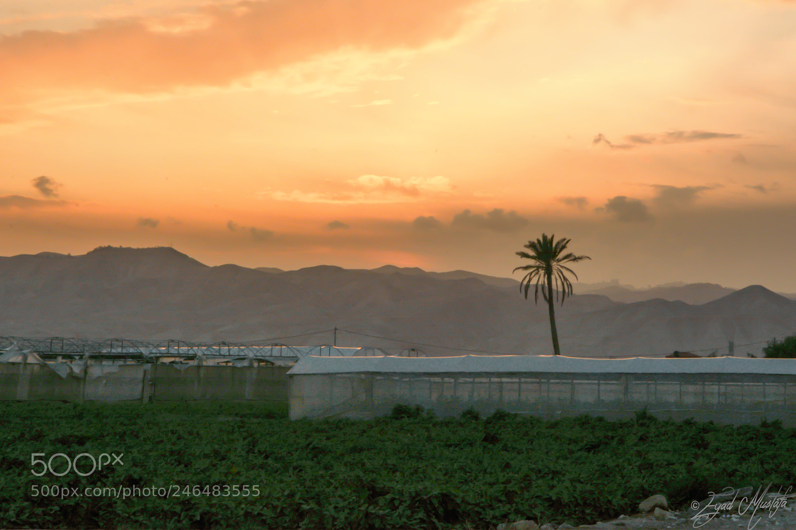 Nikon D7100 sample photo. Jericho photography