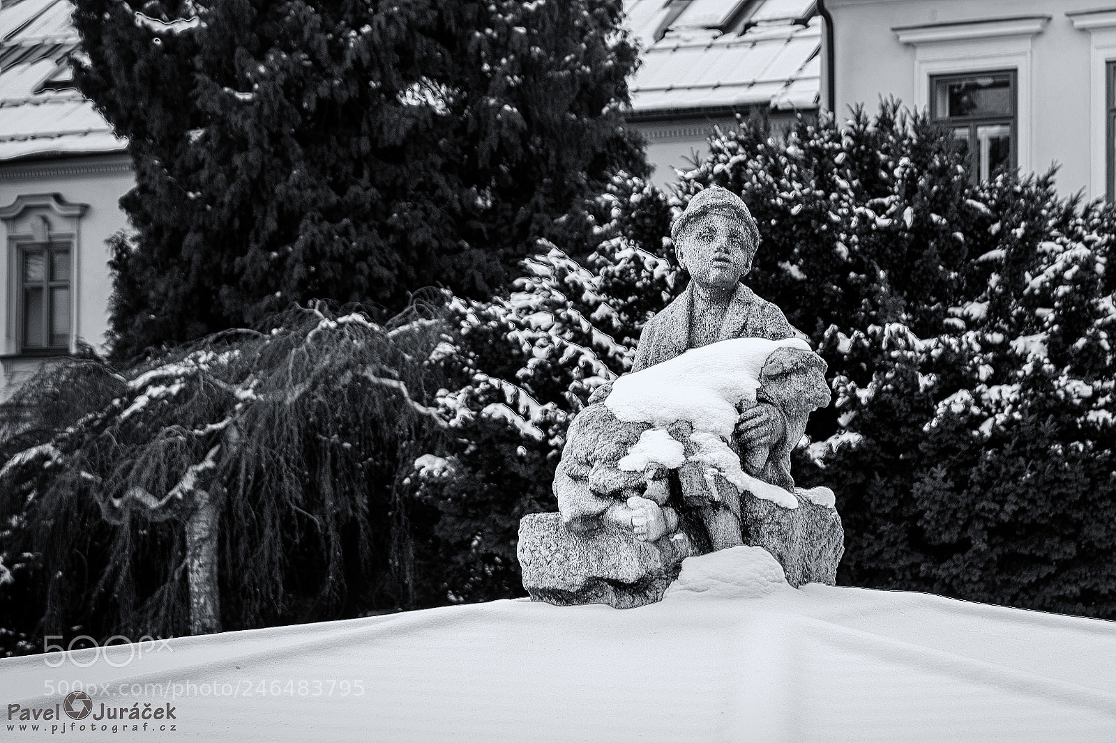 Nikon D5600 sample photo. Nmnm...014. photography