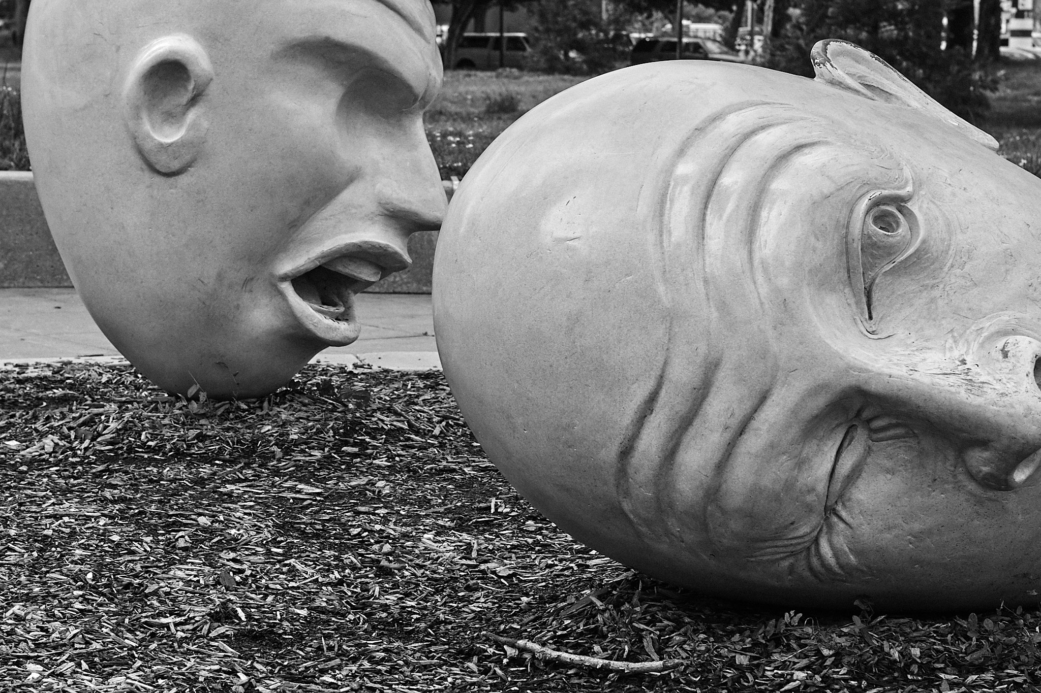 Canon EOS D30 sample photo. Bald heads 001 photography