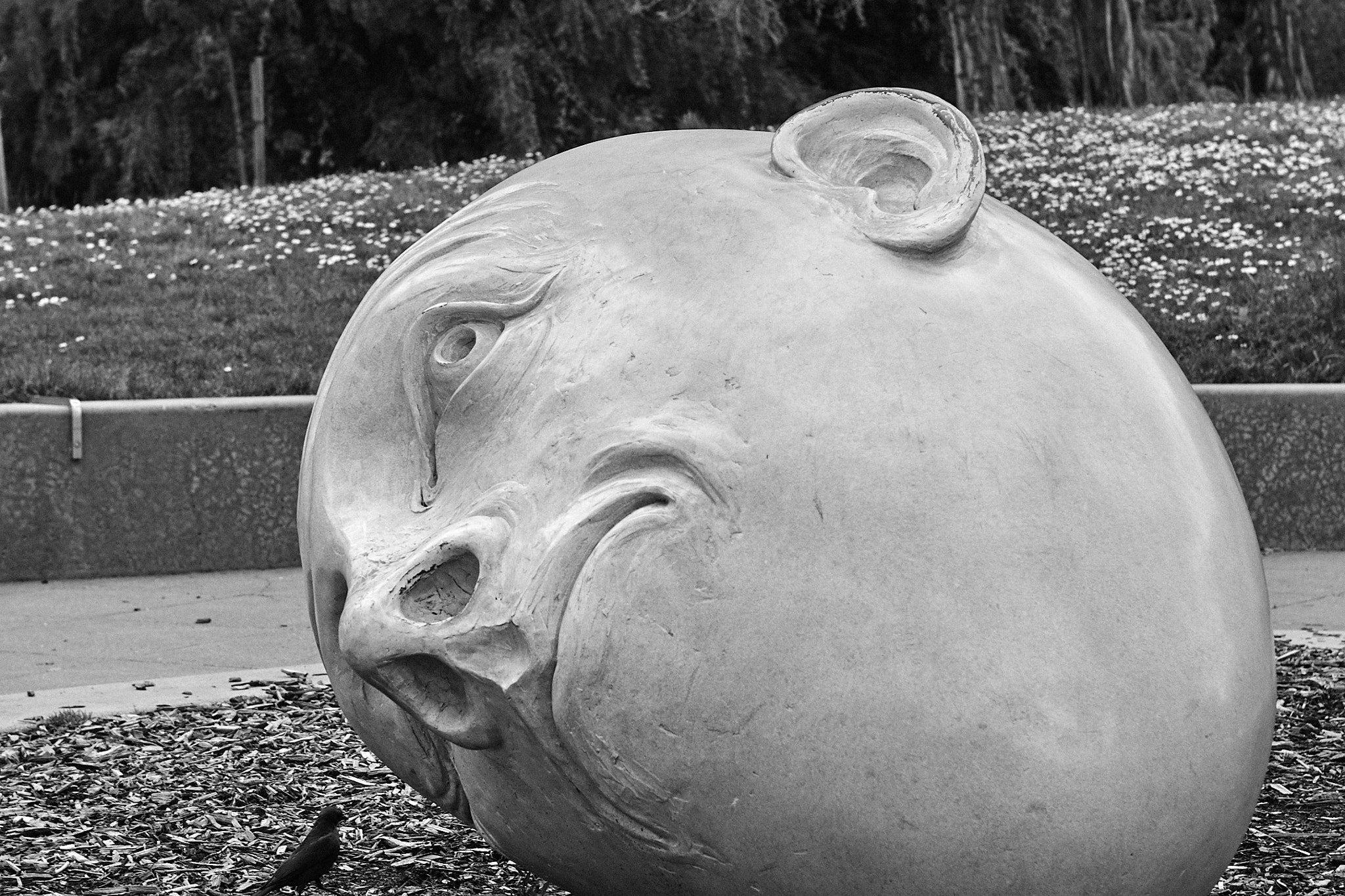 Canon EOS D30 sample photo. Bald heads 003 photography