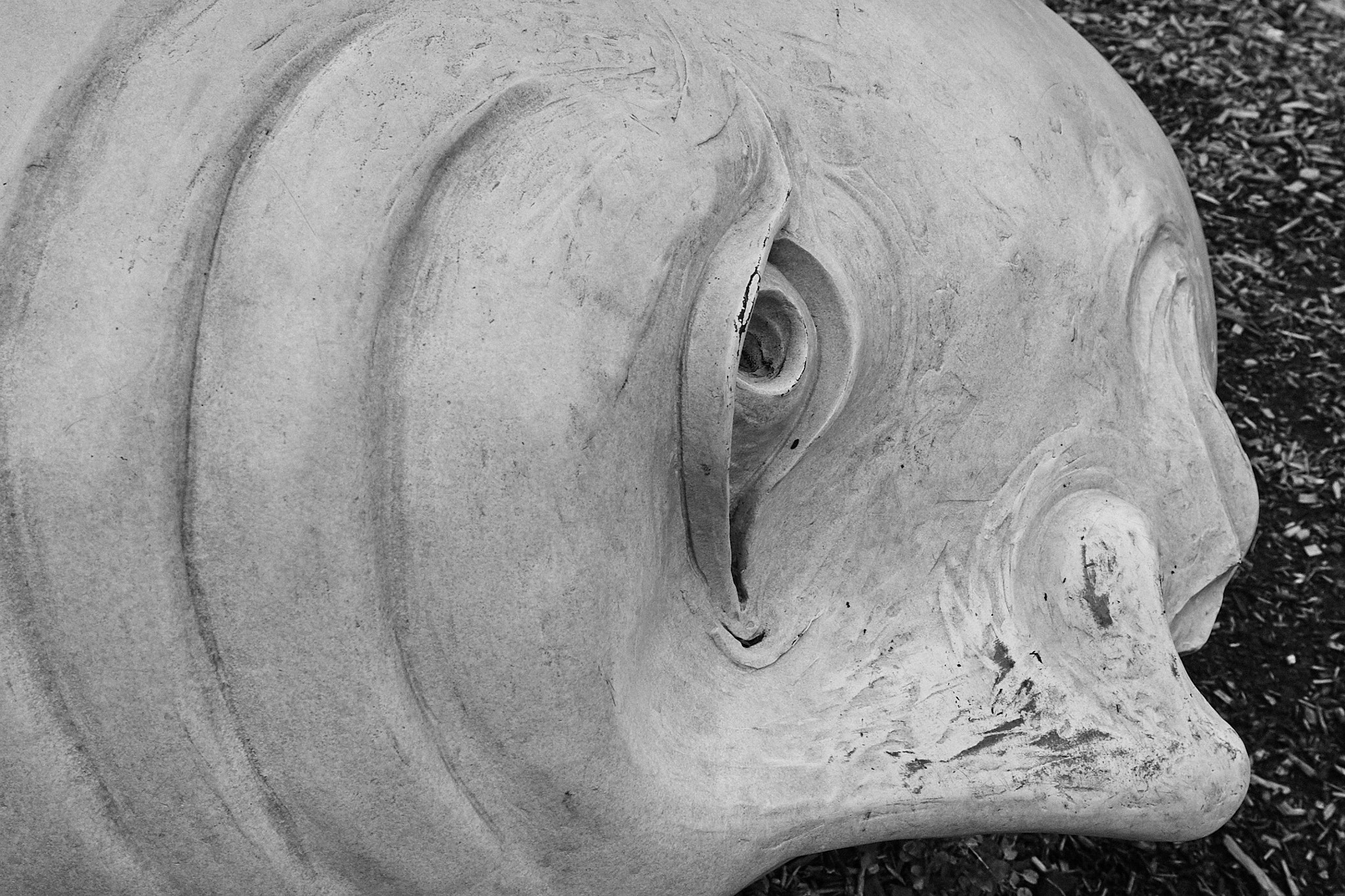 Canon EOS D30 sample photo. Bald heads 007 photography