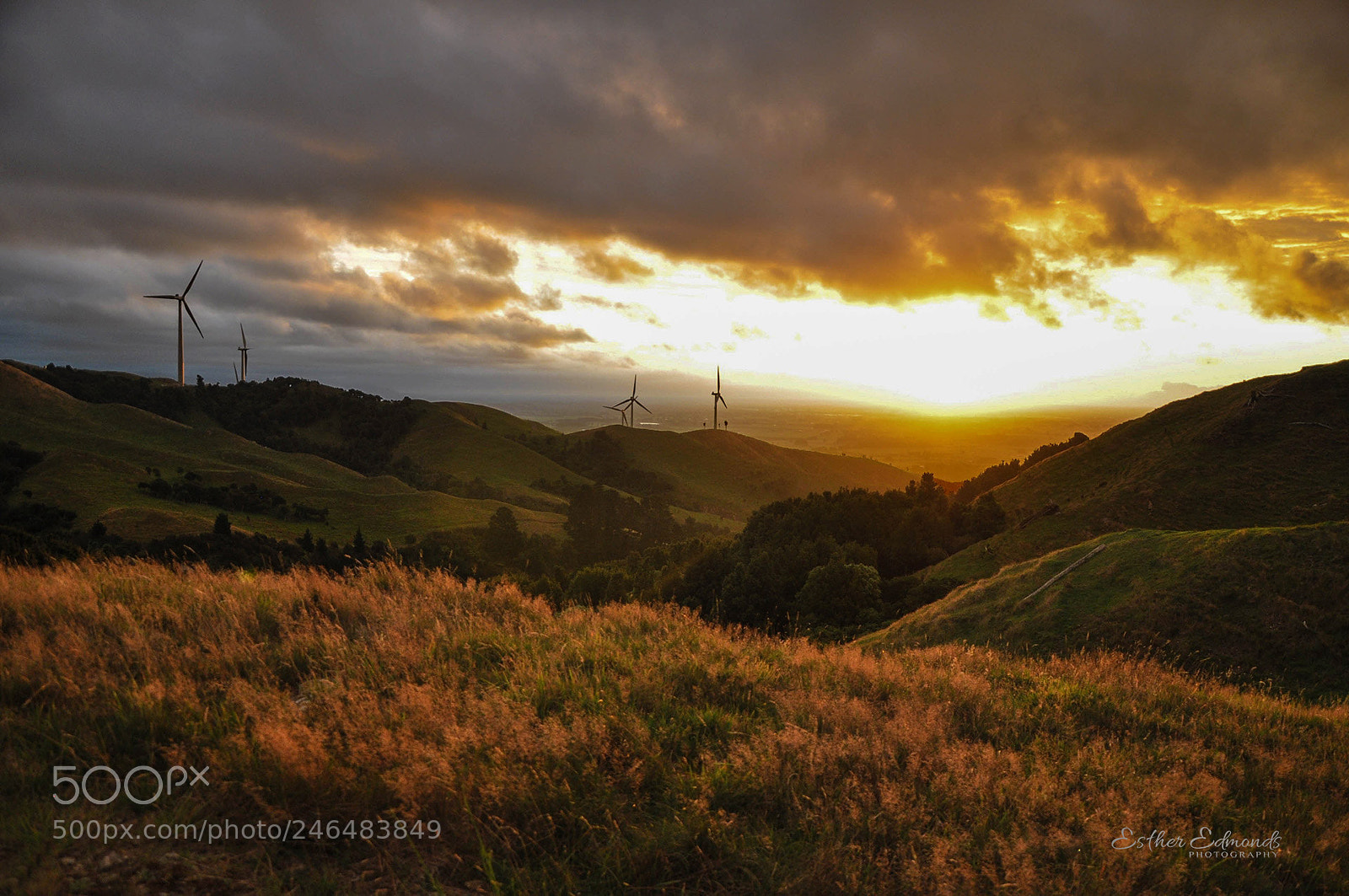 Nikon D90 sample photo. Sunset over the windmills photography