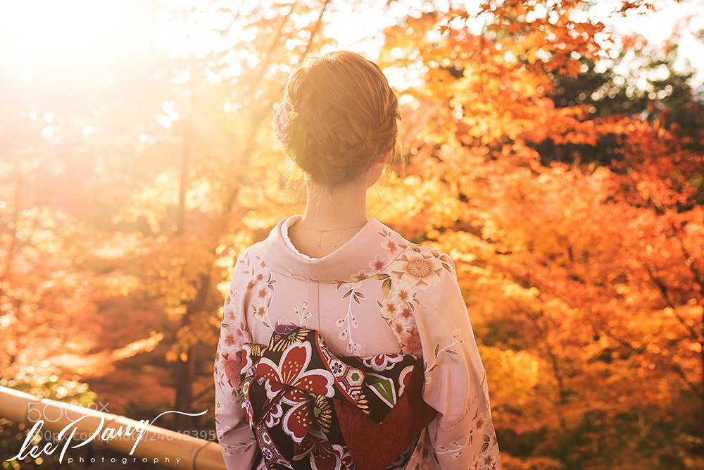 Nikon D810 sample photo. The autumn japanese kyoto photography