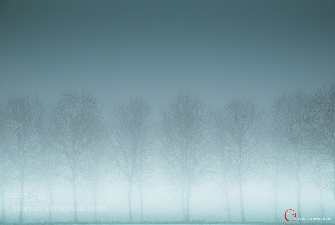 Pentax K-1 sample photo. Silhouettes photography