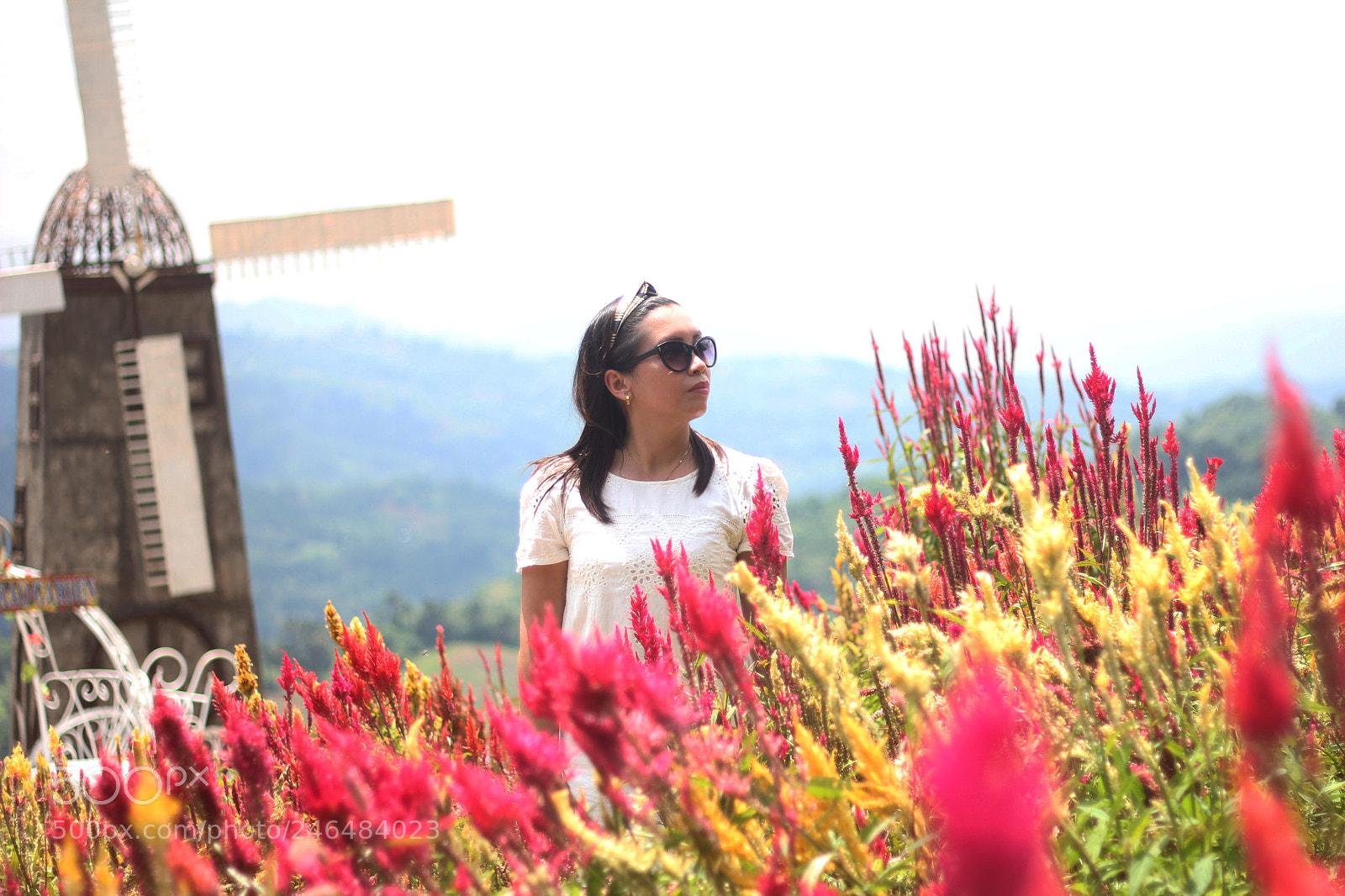 Canon EOS 60D sample photo. Sirao garden photography