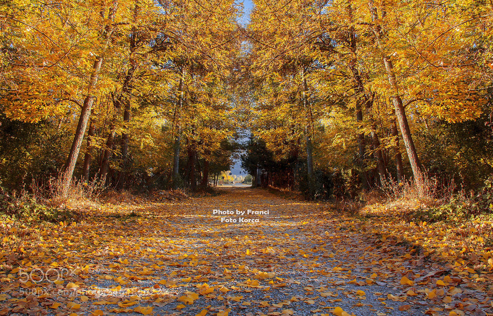 Canon EOS 60D sample photo. Autumn photography