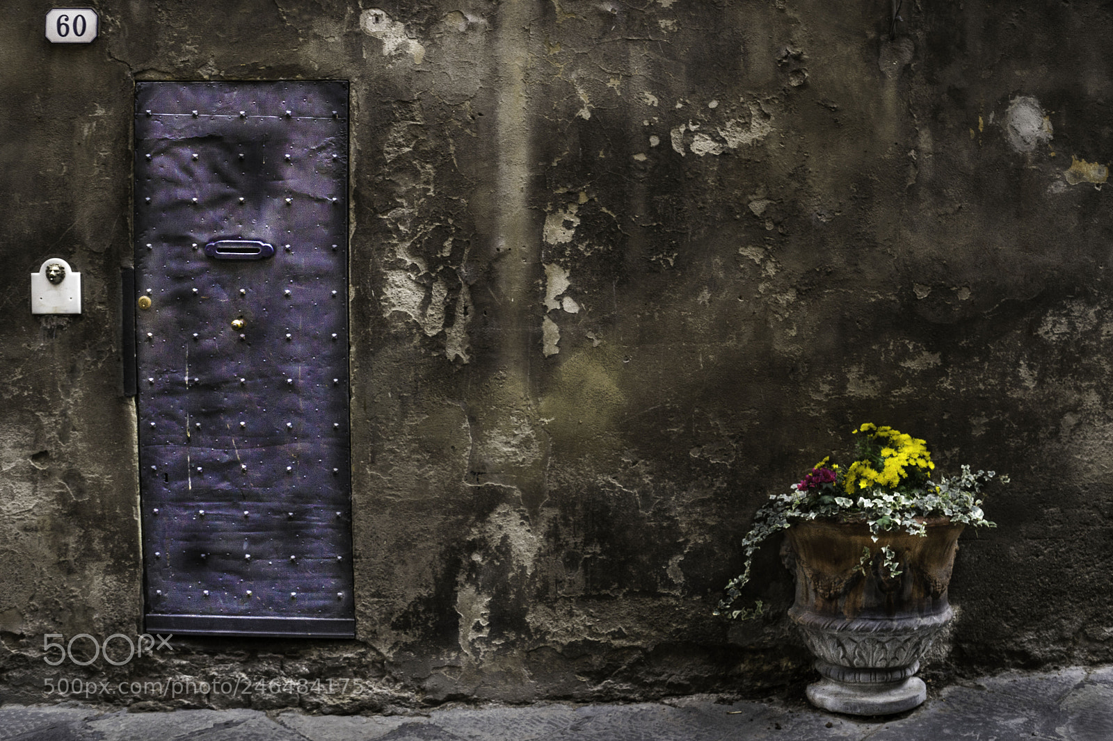 Sony a7 II sample photo. Lucca porta con fiori photography