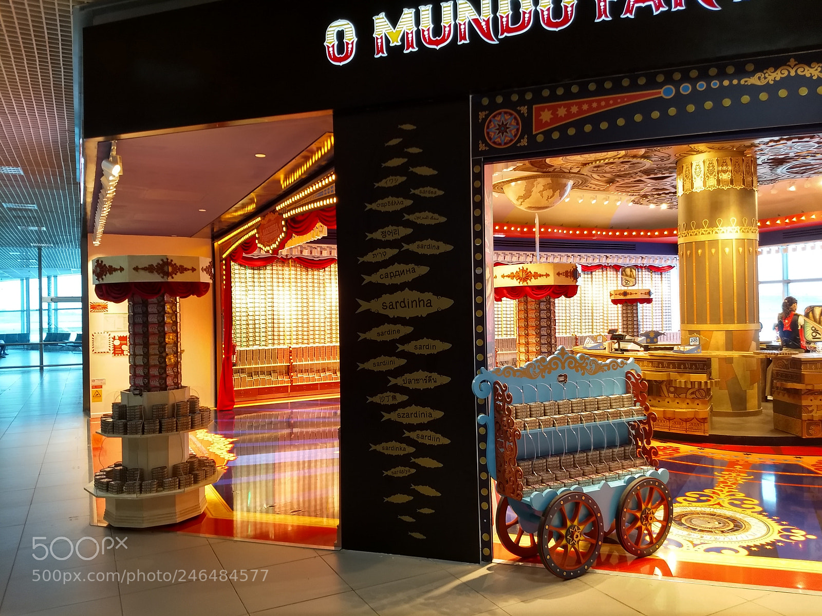 Motorola Moto G (5) Plus sample photo. A carousel of colors photography
