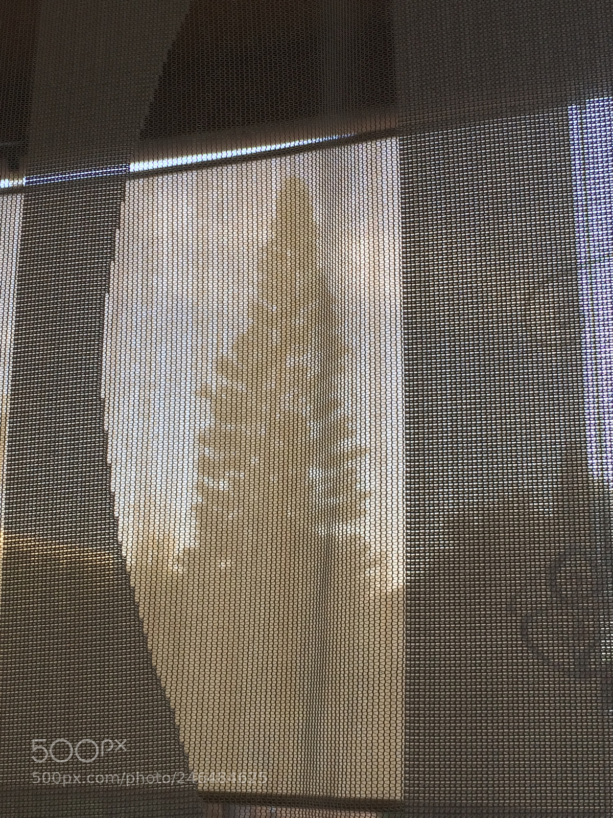 Apple iPhone 5s sample photo. Day 48 of an photography