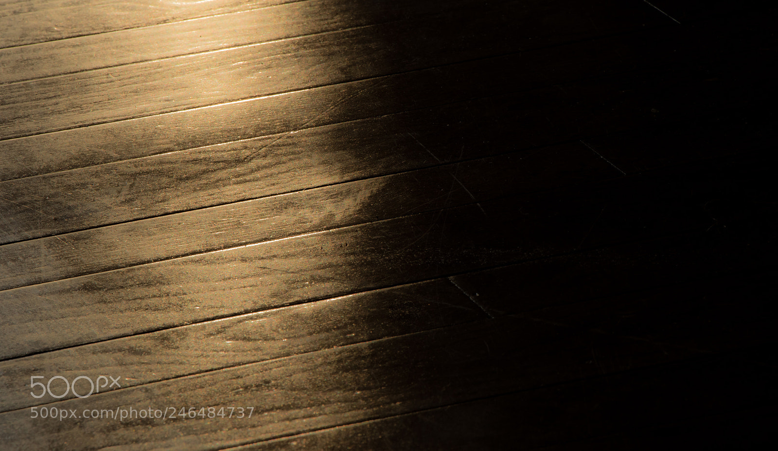 Canon EOS 7D Mark II sample photo. Dark and light wood photography