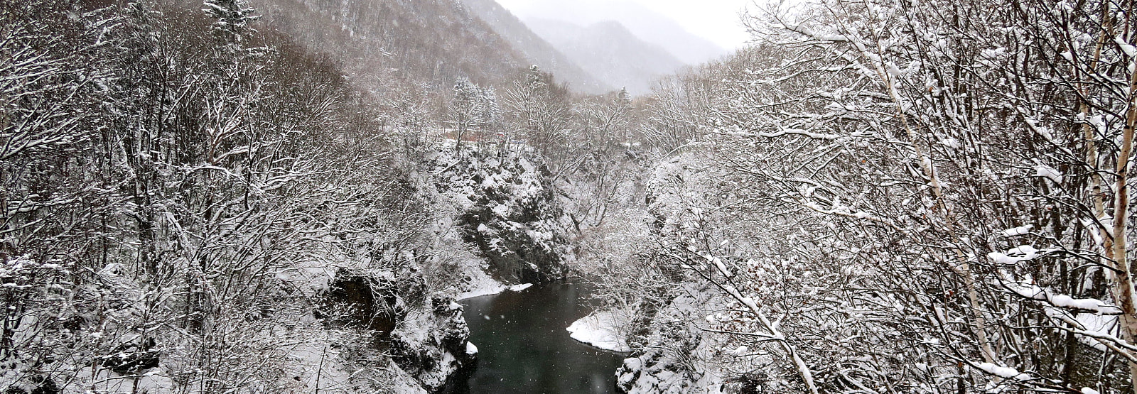 Canon PowerShot G7 X sample photo. Hokkaido x winter photography