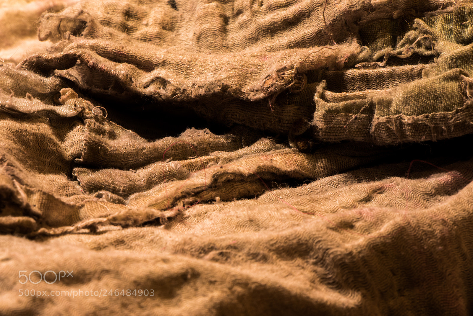 Canon EOS 7D Mark II sample photo. A blanket named "special". photography