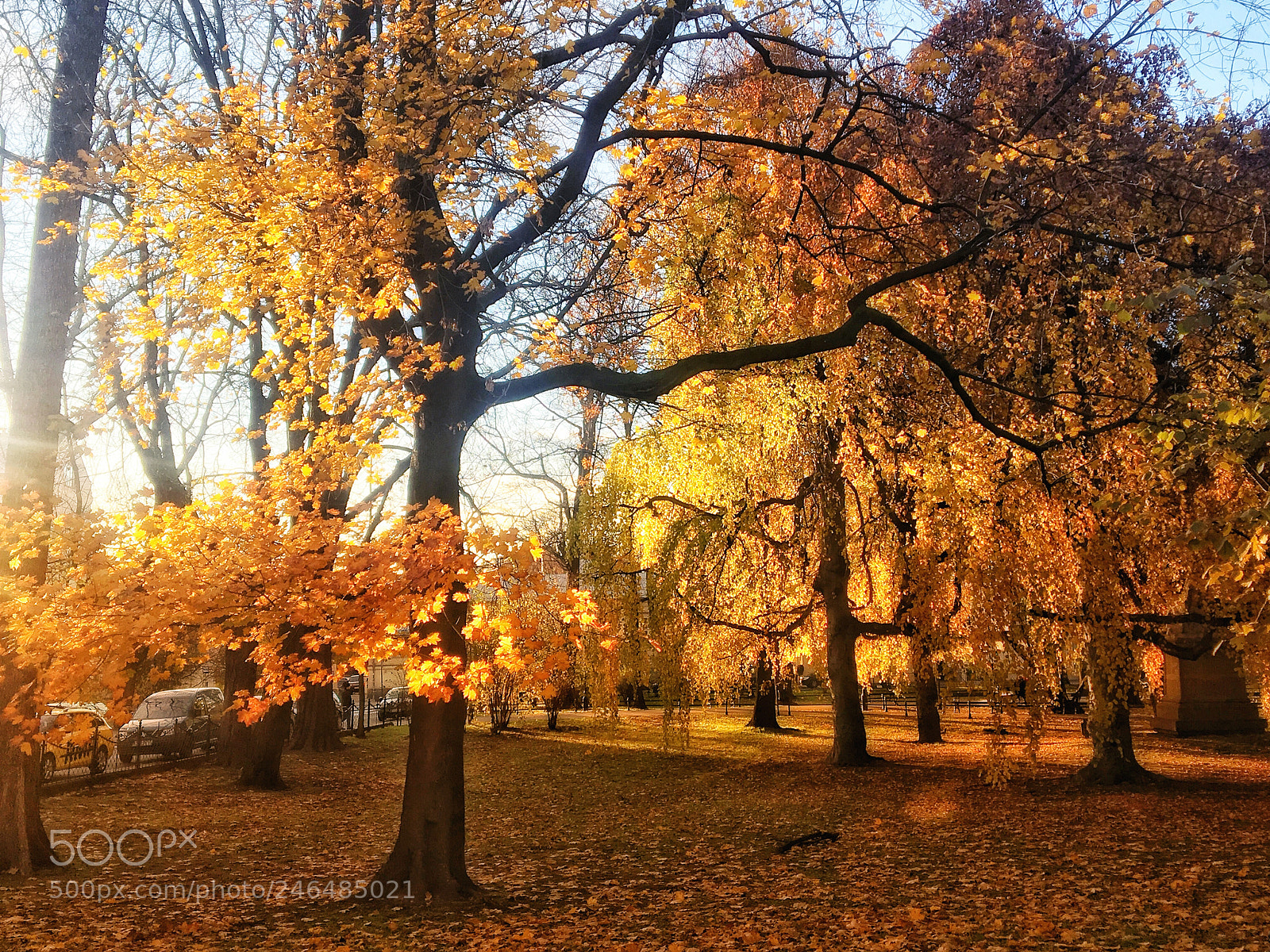 Apple iPhone 6s sample photo. Kracow autumn photography